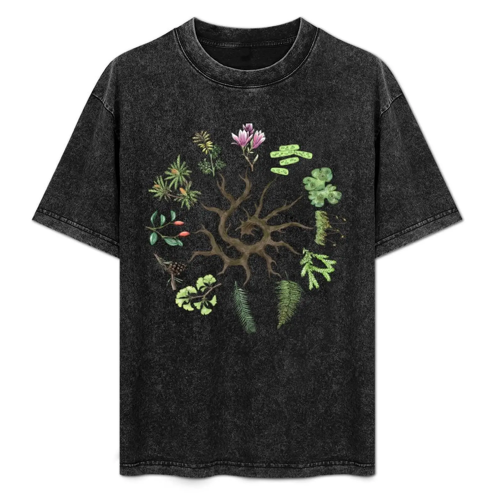 Plant Evolutionary Tree (Plain Background) T-Shirt tees quick drying T-shirts oversize t shirts for men cotton
Plant Evolutionary Tree (Plain Background) T-Shirt tees quick drying T-shirts oversize t shirts for men cotton