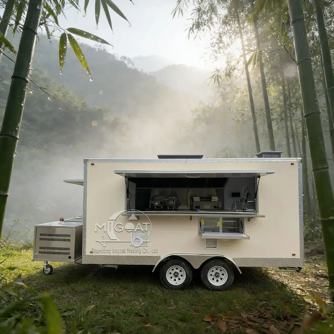 Коммерческий грузовик для общественного питания, мобильная кухонная тележка со встроенным кухонным оборудованием для делового использования
Коммерческий грузовик для общественного питания, мобильная кухонная тележка со встроенным кухонным оборудованием для делового использования