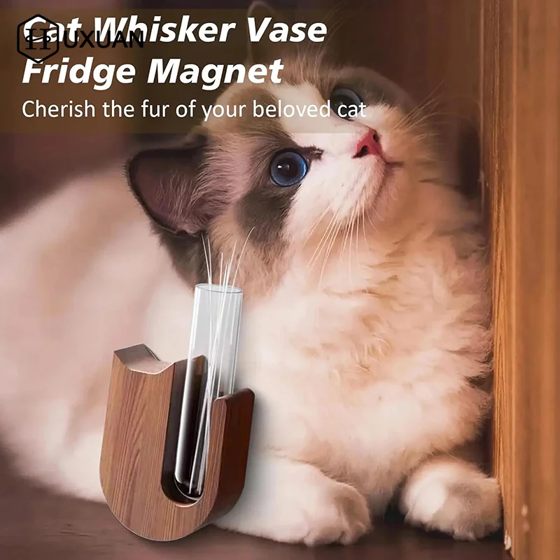 Ваза для кошек, ваза для усов для домашних животных, магнит на холодильник, деревянный и стеклянный коллектор для волос домашних животных, сувенирный подарок для домашнего декора
Ваза для кошек, ваза для усов для домашних животных, магнит на холодильник, деревянный и стеклянный коллектор для волос домашних животных, сувенирный подарок для домашнего декора