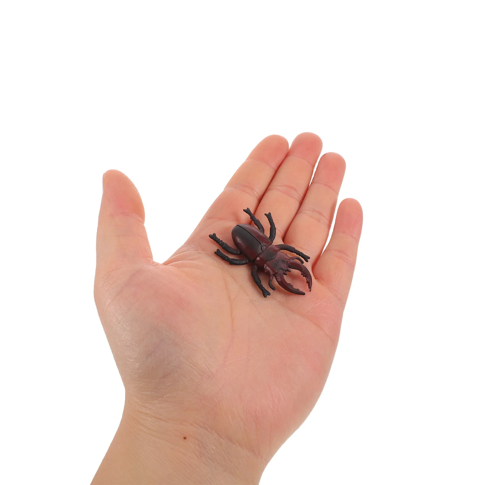 12Pcs Lifelike Beetle Simulation Insects Plastic Realistic Bugs for Insect Classification and Science Study Realistic Bugs
12Pcs Lifelike Beetle Simulation Insects Plastic Realistic Bugs for Insect Classification and Science Study Realistic Bugs