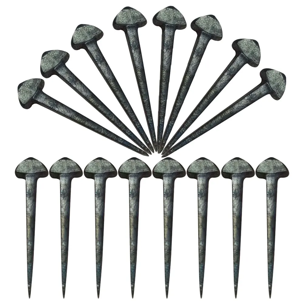 50 Pcs Hoof Shape Horseshoe Nail Shoes Tool Iron Care Equipment Accessories for Nails
50 Pcs Hoof Shape Horseshoe Nail Shoes Tool Iron Care Equipment Accessories for Nails