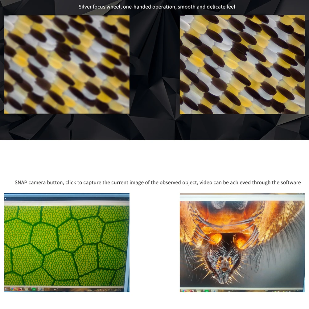 High Resolution 1080P 3 in 1 USB Digital Microscope 50X-1000X 8 LED Magnifier Portable for Educational Use and Exploration
High Resolution 1080P 3 in 1 USB Digital Microscope 50X-1000X 8 LED Magnifier Portable for Educational Use and Exploration