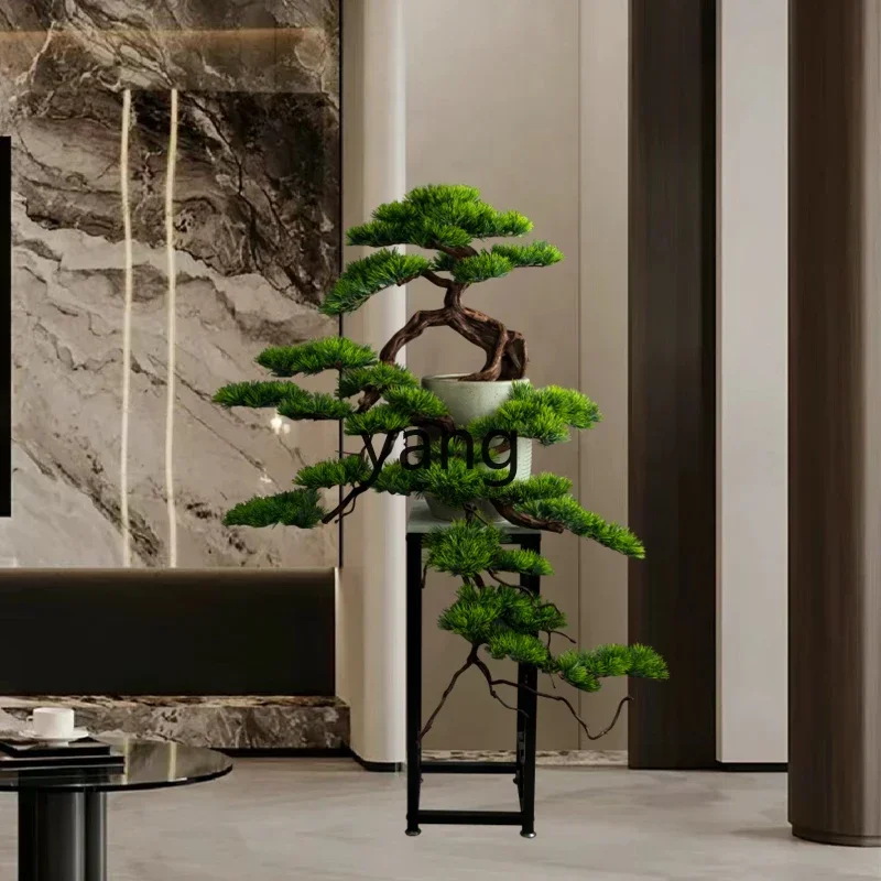 LTT solid wood simulation welcome pine living room green plant black pine bonsai Luo Hansong ornament
LTT solid wood simulation welcome pine living room green plant black pine bonsai Luo Hansong ornament
