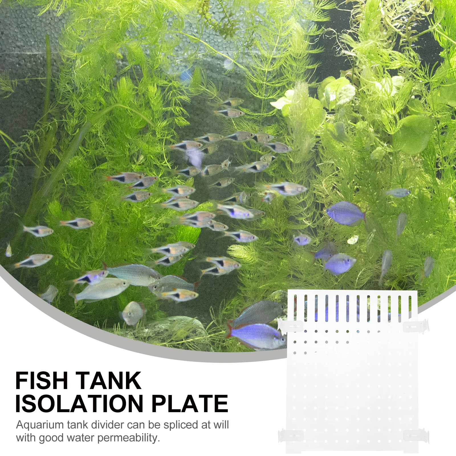 Acrylic Isolation Board Transparent Fish Tank Divider For Aquarium Diy Suction Cup Filter Plate Fish Breeding Tank Separation
Acrylic Isolation Board Transparent Fish Tank Divider For Aquarium Diy Suction Cup Filter Plate Fish Breeding Tank Separation
