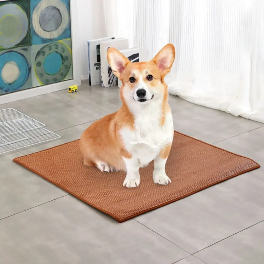 Pet Supplies Double-Sided Use Pet Summer Mat Breathable Wear-resistant Pet Cooling Mat Rattan and Ice Silk Dog House Mat Cat
Pet Supplies Double-Sided Use Pet Summer Mat Breathable Wear-resistant Pet Cooling Mat Rattan and Ice Silk Dog House Mat Cat