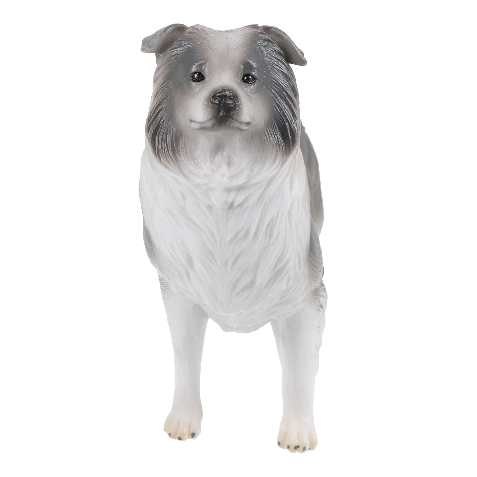 Border Collie Model Toy Exquisite Dog Figurine Statue Mini Lovely Appearance Craft Models For Kids Plastic
Border Collie Model Toy Exquisite Dog Figurine Statue Mini Lovely Appearance Craft Models For Kids Plastic