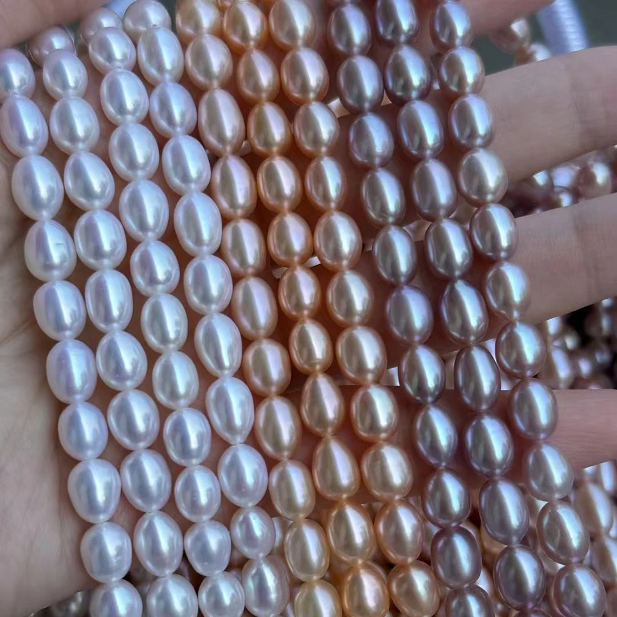 AAAAA Natural Freshwater Pearl Rice Beads High Luster Charms for DIY Women Men Necklace Jewelry Making Accessories 6.5-7.5mm
AAAAA Natural Freshwater Pearl Rice Beads High Luster Charms for DIY Women Men Necklace Jewelry Making Accessories 6.5-7.5mm