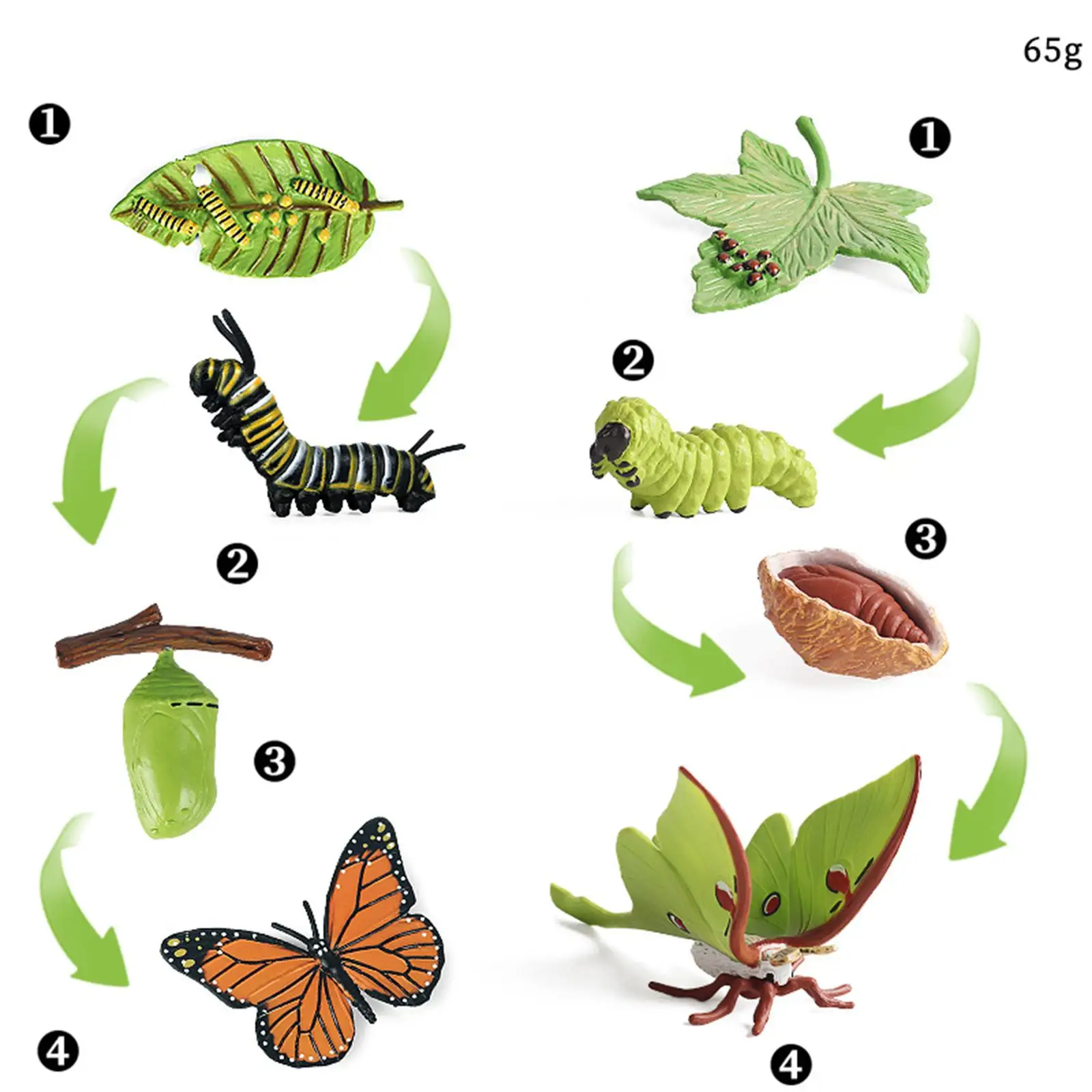 Игровой набор Butterfly Moth Life Cycle, биологическая Когнитивная игрушка для обучающего инструмента
Игровой набор Butterfly Moth Life Cycle, биологическая Когнитивная игрушка для обучающего инструмента