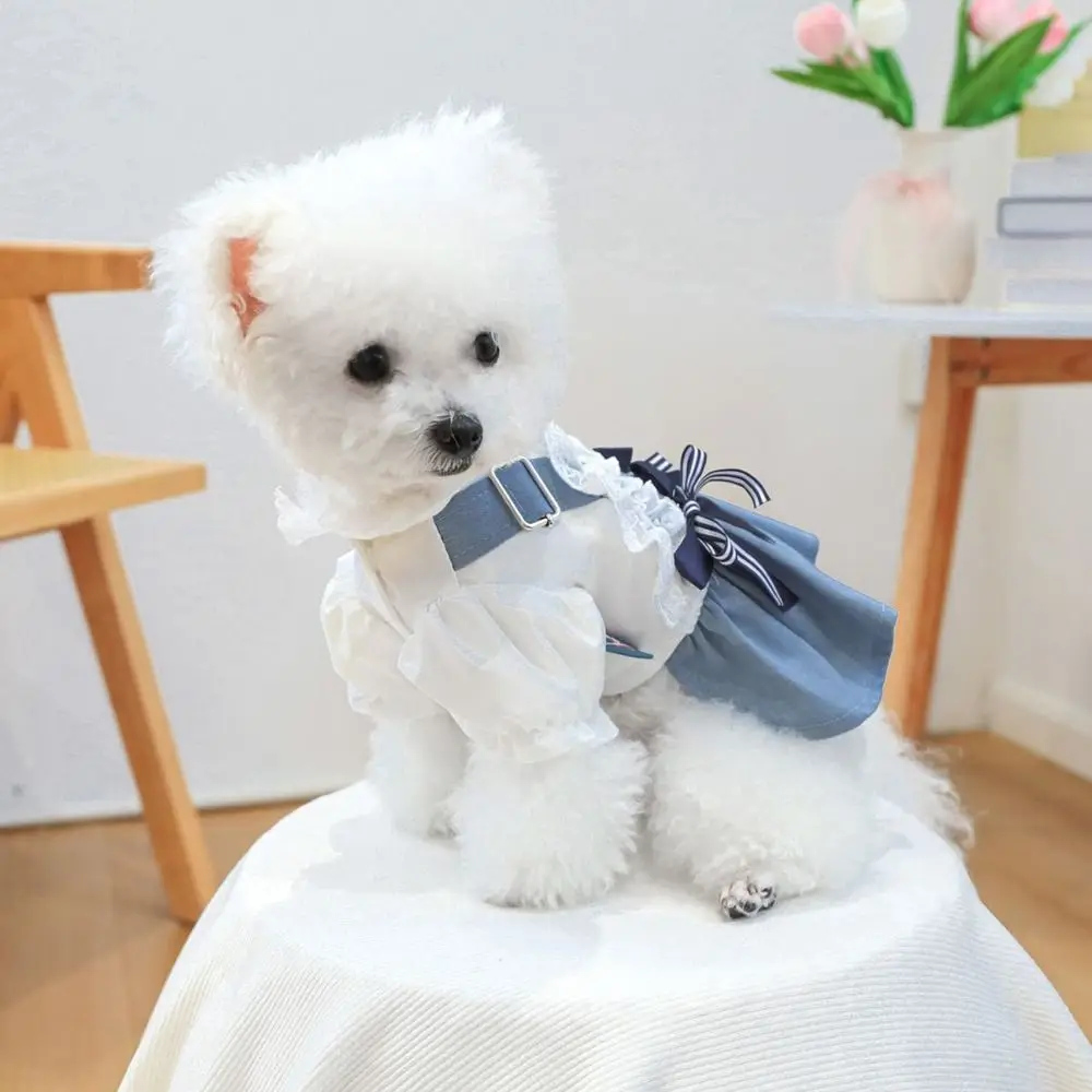 Durable Washable Pet Denim Dress Reusable Cute Dog Denim Skirt With Bow Pet Skirt Autumn
Durable Washable Pet Denim Dress Reusable Cute Dog Denim Skirt With Bow Pet Skirt Autumn