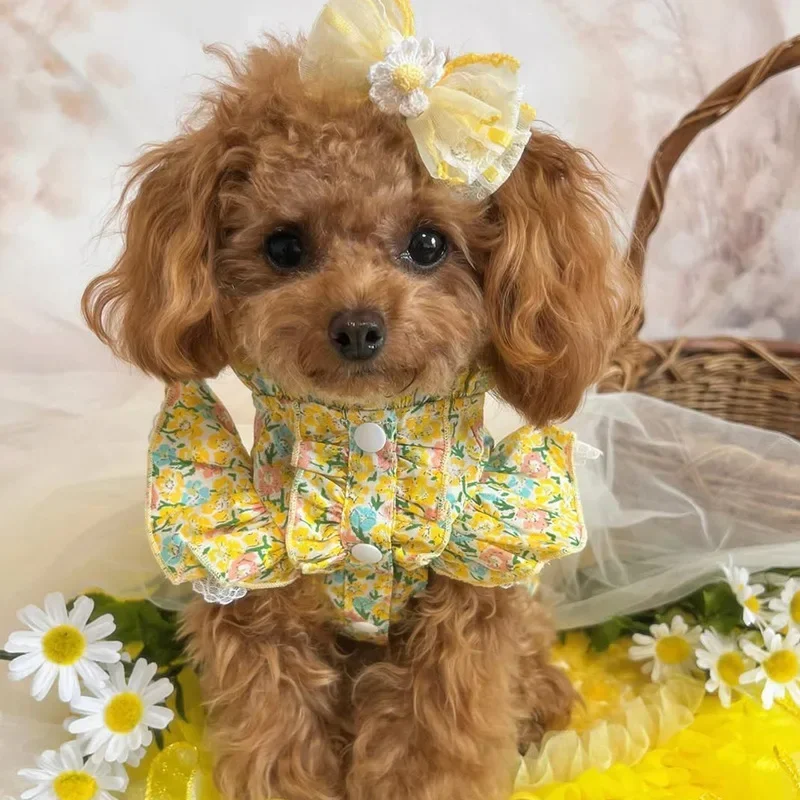 Free shipping,Spring/summer Pet Clothes: Small Dog's Cooling Floral Flying Sleeve Tank Top And Teddy Bow Dress For Small Dog
Free shipping,Spring/summer Pet Clothes: Small Dog's Cooling Floral Flying Sleeve Tank Top And Teddy Bow Dress For Small Dog
