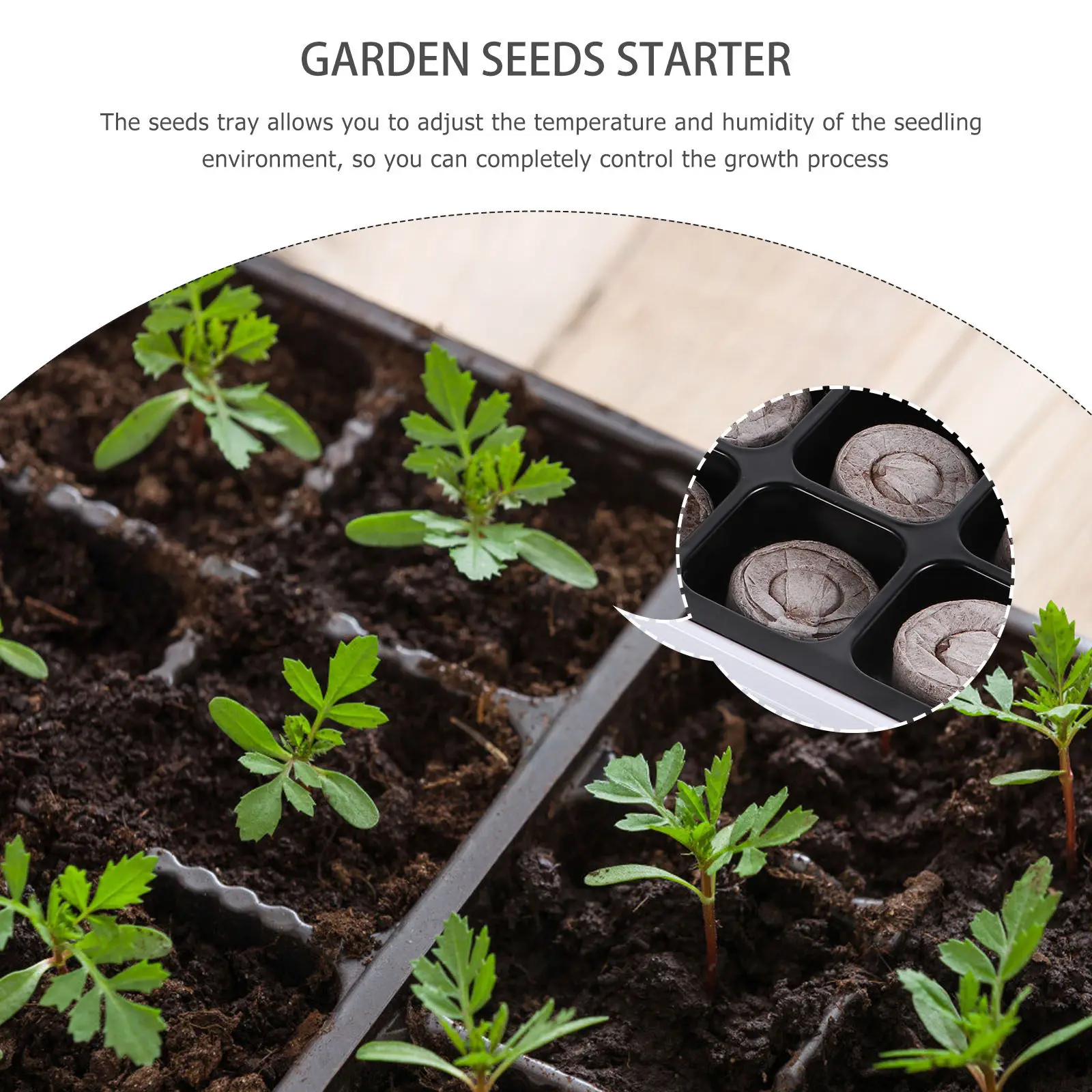 Набор из 12 лотков для рассады: контейнеры для проращивания семян, регулируемые по температуре и влажности, для выращивания растений и пересадки
Набор из 12 лотков для рассады: контейнеры для проращивания семян, регулируемые по температуре и влажности, для выращивания растений и пересадки
