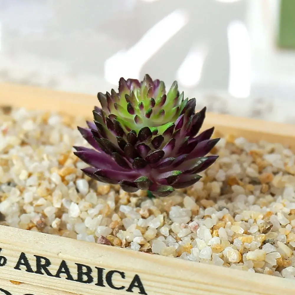 2pcs DIY Artificial Succulent Plants Realistic Handmade Fake Succulent Flocking Plants Plastic Mini Simulated Floral Plants
2pcs DIY Artificial Succulent Plants Realistic Handmade Fake Succulent Flocking Plants Plastic Mini Simulated Floral Plants