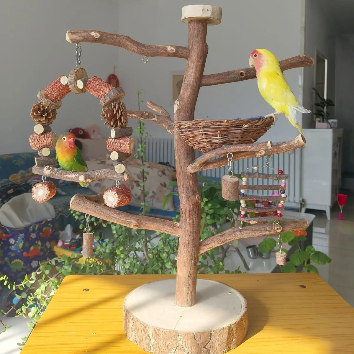 Small and medium-sized solid wood parrot playground Lovebird game gym swing game stand bird perch parrot activity center
Small and medium-sized solid wood parrot playground Lovebird game gym swing game stand bird perch parrot activity center