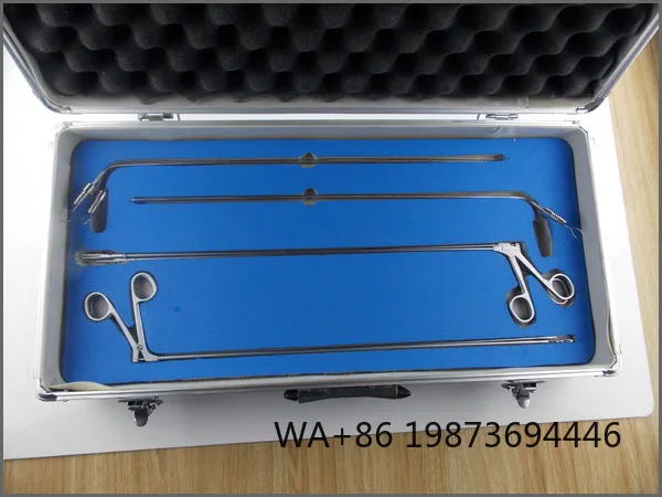 Surgical ENT Esophagoscopy Set, Professional Endoscopic Instruments
Surgical ENT Esophagoscopy Set, Professional Endoscopic Instruments