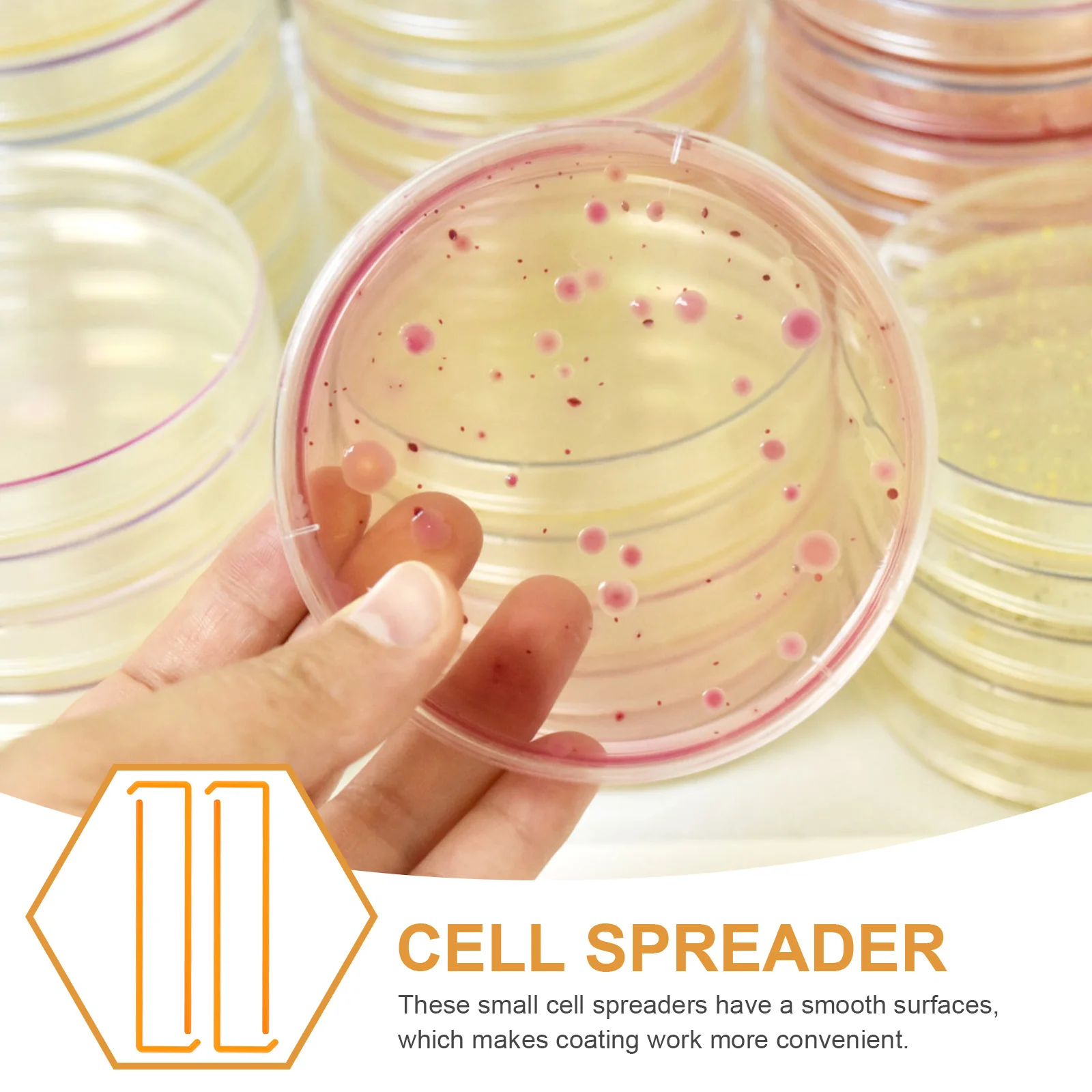20Pcs Cell Plastic Laboratory Accessories L-Shaped Spreading for Science Experiment Cell Spreaders
20Pcs Cell Plastic Laboratory Accessories L-Shaped Spreading for Science Experiment Cell Spreaders
