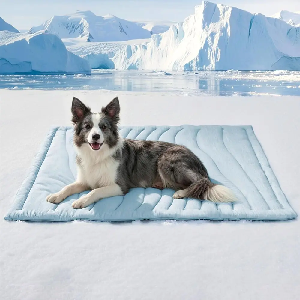 Thickened Breathable Cooling Mat for Dogs, 48x28 Portable Washable Bed, Non-Gel Blue
Thickened Breathable Cooling Mat for Dogs, 48x28 Portable Washable Bed, Non-Gel Blue