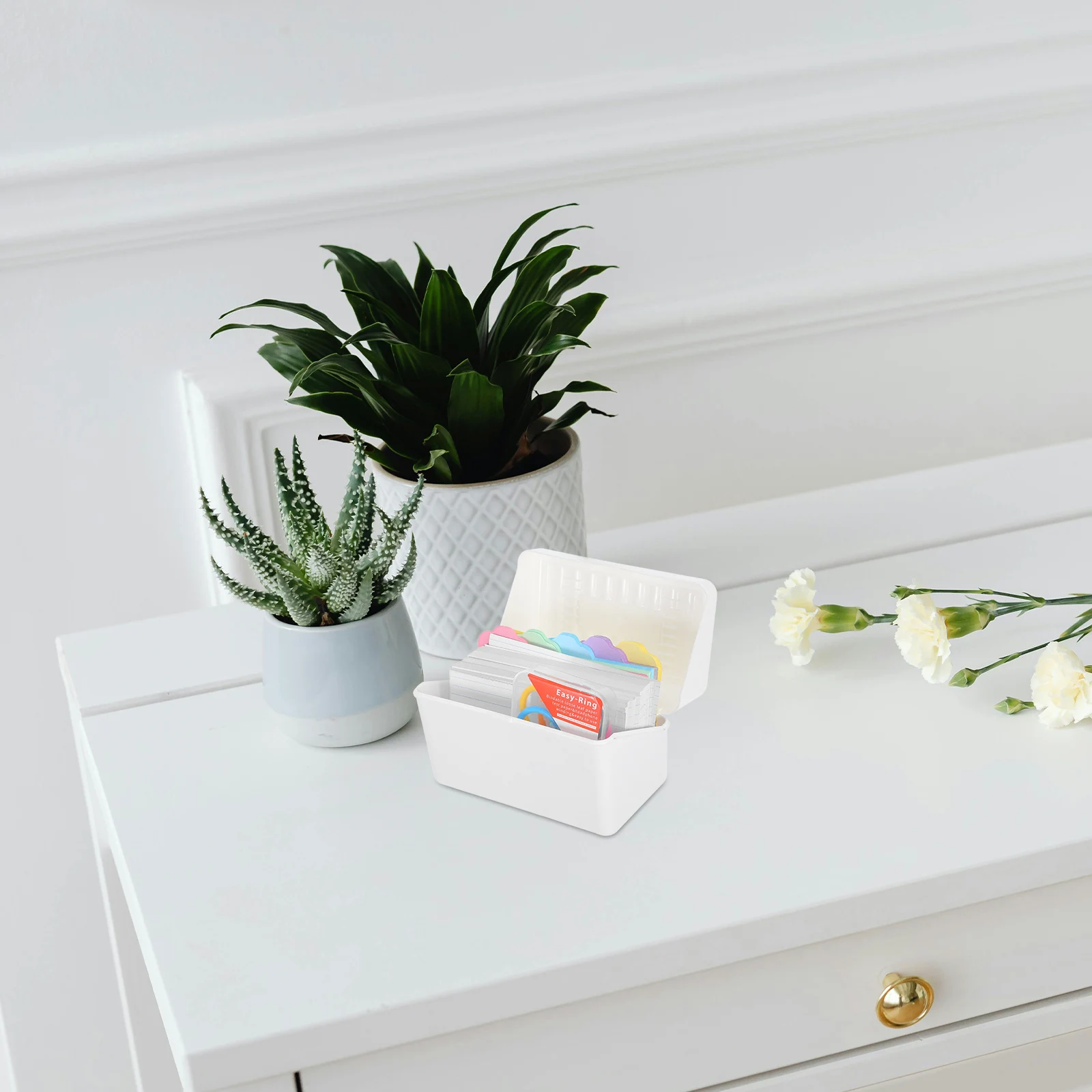 Desktop Storage Box Convenient Cards Holder Business Supplies Index with Dividers Case
Desktop Storage Box Convenient Cards Holder Business Supplies Index with Dividers Case