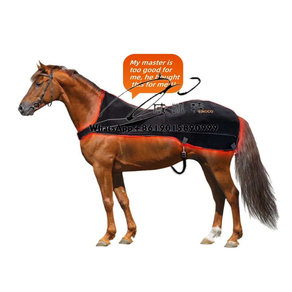 660Nm 850nm Veterinary instrument for horses and pets, back and neck withered areas, for horse health care
660Nm 850nm Veterinary instrument for horses and pets, back and neck withered areas, for horse health care