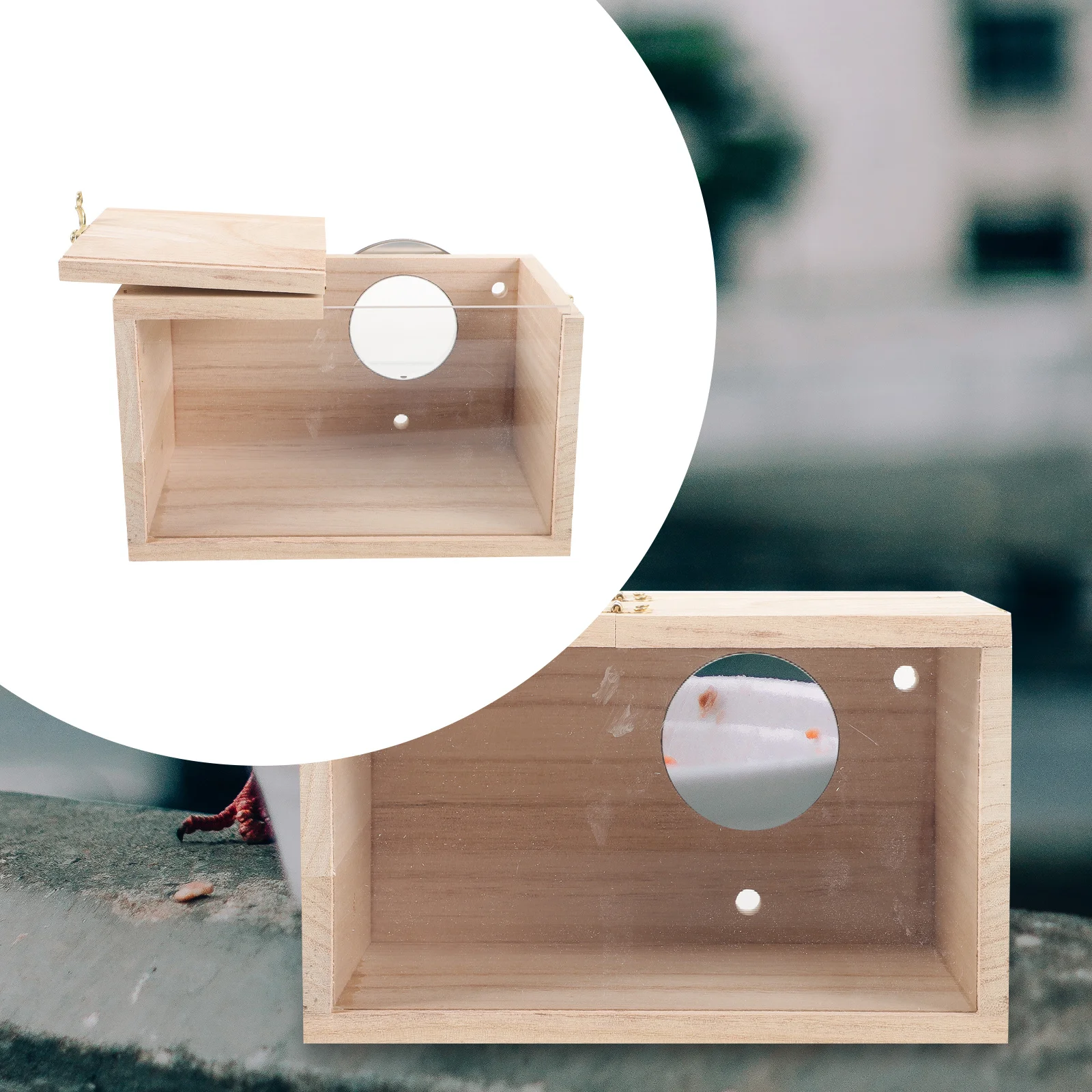 Natural Wooden Bird House Durable Safe Cockatiel Nesting Box Lid Buckle Design Easy Clean Parakeet Nest Breeding Box for Garden
Natural Wooden Bird House Durable Safe Cockatiel Nesting Box Lid Buckle Design Easy Clean Parakeet Nest Breeding Box for Garden