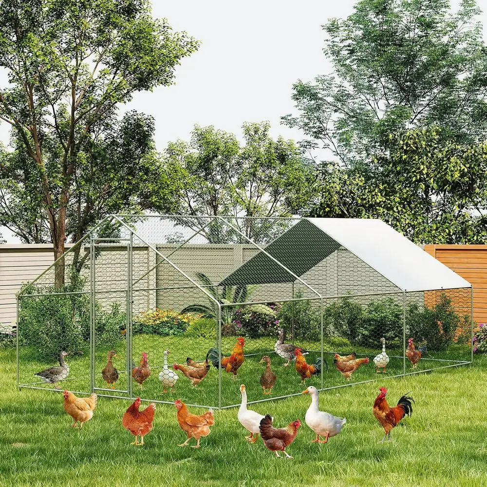 Spacious Outdoor Chicken Enclosure with Waterproof & UV-Protected Cover, 19.7L x 6.6W x 6.6H
Spacious Outdoor Chicken Enclosure with Waterproof & UV-Protected Cover, 19.7L x 6.6W x 6.6H