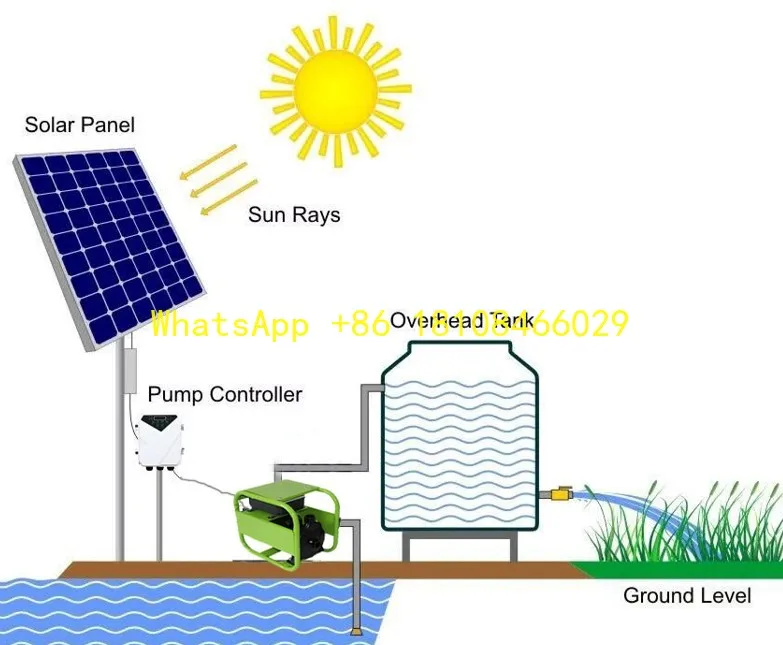Solar Pump Low Booster Clean Water Compatibility High Head Surface Water Solar Pump for Irrigation Durable OEM Customizable
Solar Pump Low Booster Clean Water Compatibility High Head Surface Water Solar Pump for Irrigation Durable OEM Customizable