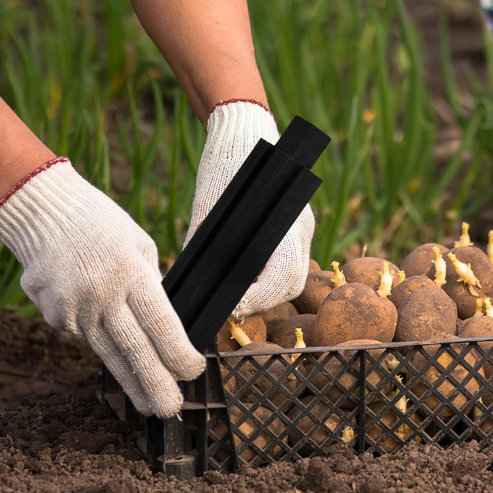 Adjustable Plastic Planter Stands 8 Pcs Raised Garden Bed Legs Replacement Braces Elevated Planter Box Base Outdoor Support Feet
Adjustable Plastic Planter Stands 8 Pcs Raised Garden Bed Legs Replacement Braces Elevated Planter Box Base Outdoor Support Feet