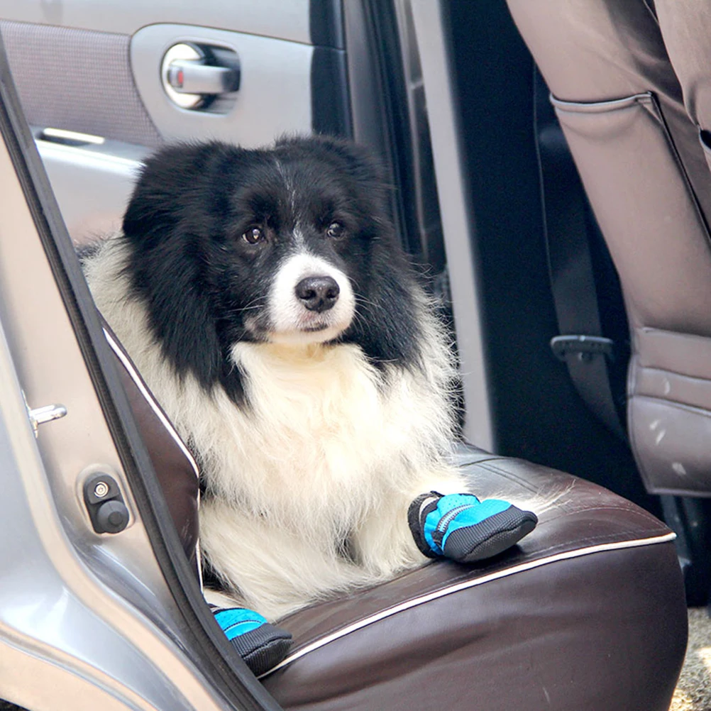 1Set Pet Dog Shoes Outdoor Durable Anti-Slip Boots Protective Warm Comfortable Walking Shoes Autumn Winter Size M
1Set Pet Dog Shoes Outdoor Durable Anti-Slip Boots Protective Warm Comfortable Walking Shoes Autumn Winter Size M