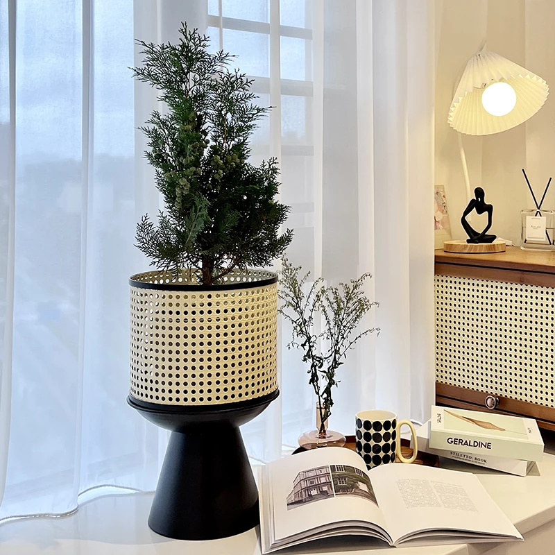 Metal Flower Rack Faux Rattan Vintage Floor Planter Stand Japanese Nordic Plant Decor Holder Leak-Proof Flower Stand
Metal Flower Rack Faux Rattan Vintage Floor Planter Stand Japanese Nordic Plant Decor Holder Leak-Proof Flower Stand