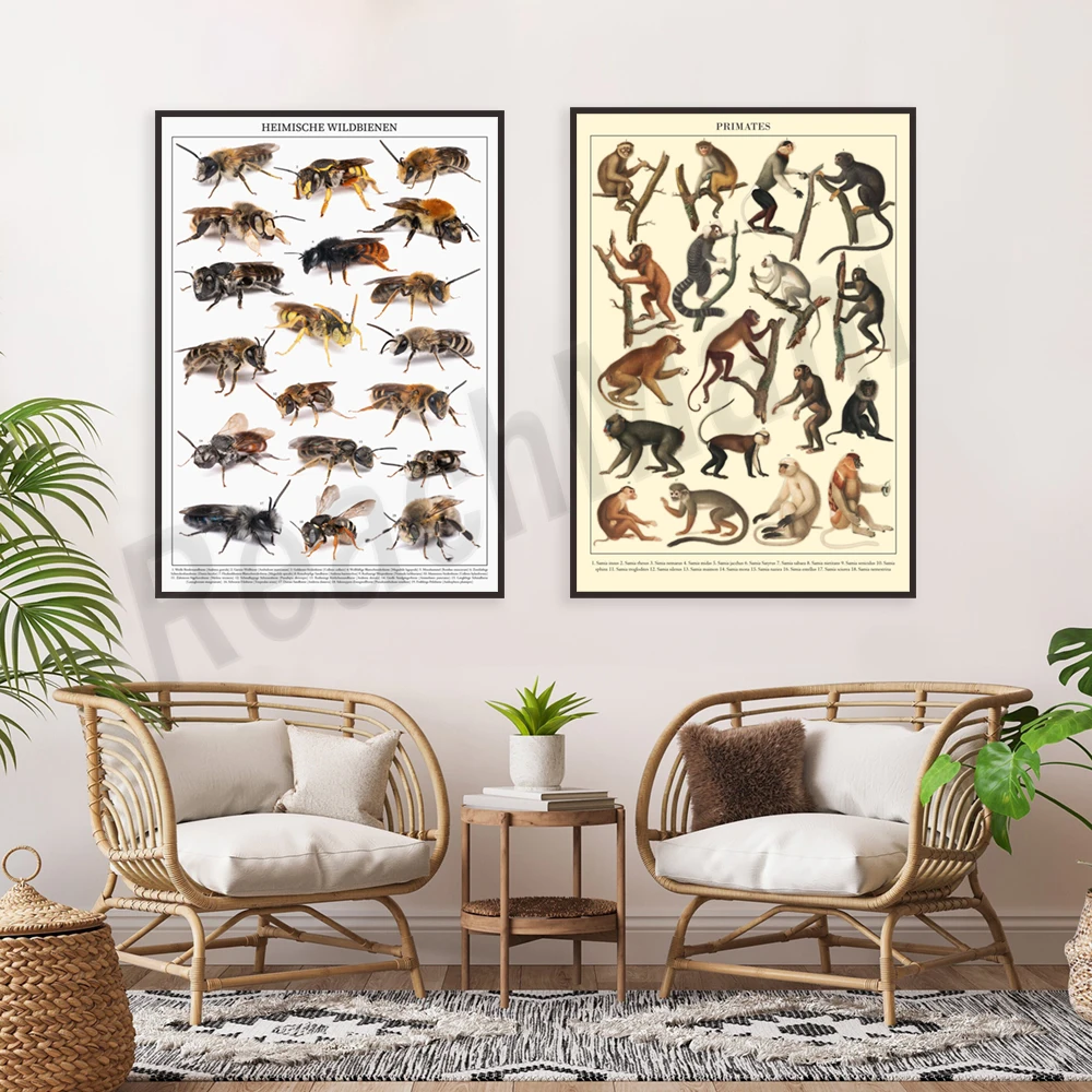 Vintage Monkey Poster - Primates, Wild Bee Poster - Local Wild Bees, Animal Prints Canvas Print, Home Decor
Vintage Monkey Poster - Primates, Wild Bee Poster - Local Wild Bees, Animal Prints Canvas Print, Home Decor