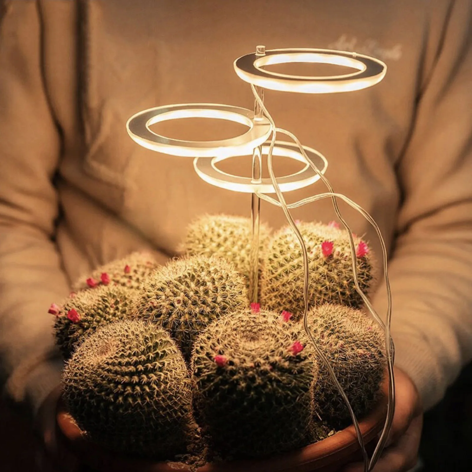 5V LED USB Angel Ring Plant Grow Light For Succulent Full Spectrum Phyto Lamp Indoor Flower Greenhouse Seedling
5V LED USB Angel Ring Plant Grow Light For Succulent Full Spectrum Phyto Lamp Indoor Flower Greenhouse Seedling