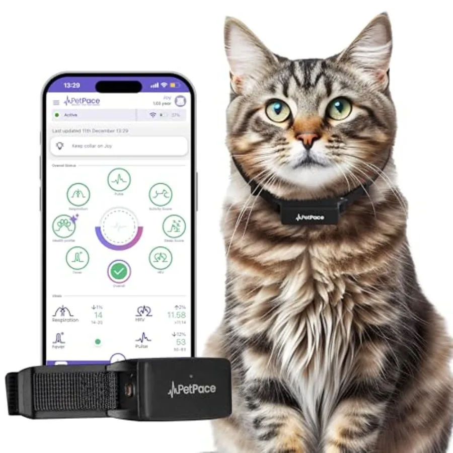 Cat Health Monitor V3.0: AI-powered collar for home health tracking, silicone material, black, 24/7 vital signs alerts, GPS, te
Cat Health Monitor V3.0: AI-powered collar for home health tracking, silicone material, black, 24/7 vital signs alerts, GPS, te