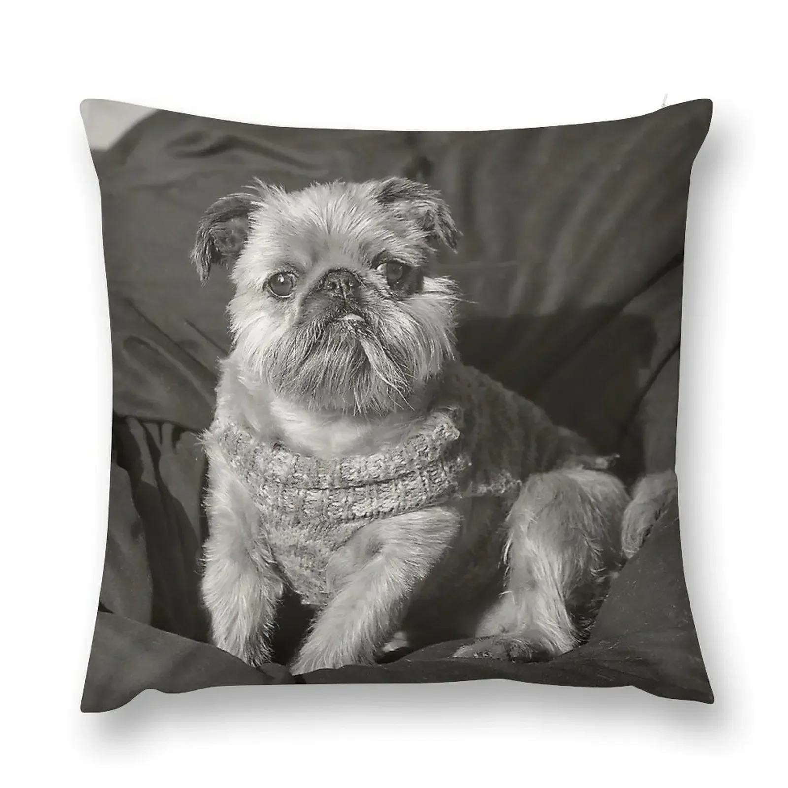 Brussels Griffon Throw Pillow Cushions For Children Christmas Pillow Covers christmas pillow case
Brussels Griffon Throw Pillow Cushions For Children Christmas Pillow Covers christmas pillow case