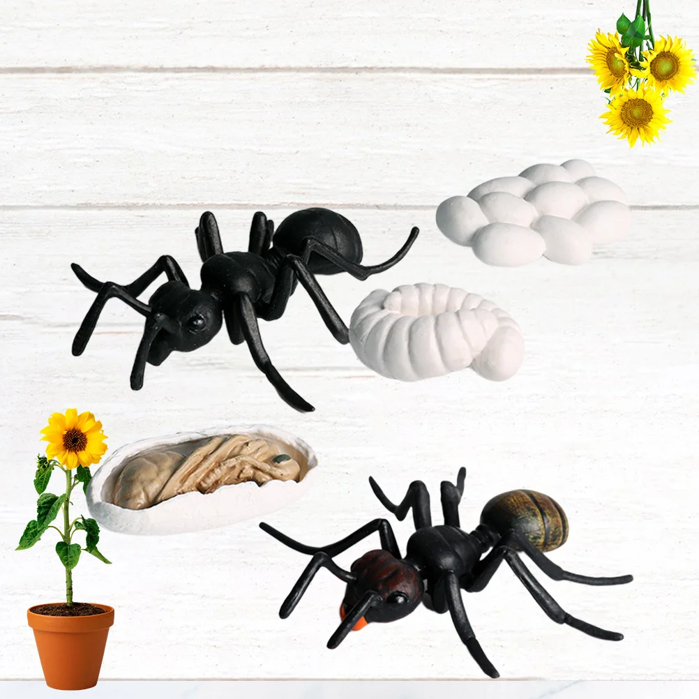 5 PCS Ant Model Simulation Animal Kids Toys Decor Artificial Remote Control Spider Decorate
5 PCS Ant Model Simulation Animal Kids Toys Decor Artificial Remote Control Spider Decorate