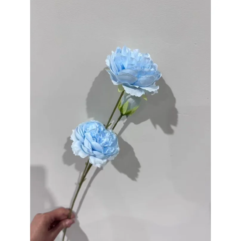 Artificial Flowers Floral Wedding Party Festival Vase Home Decor Ornaments DIY Home Decoration Outdoor garden terrace decoration
Artificial Flowers Floral Wedding Party Festival Vase Home Decor Ornaments DIY Home Decoration Outdoor garden terrace decoration