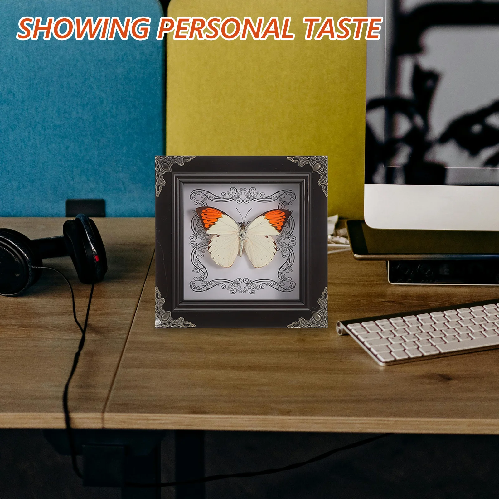 Real Butterfly Specimen Frame Elegant Vintage Home Decoration Framed Butterfly Specimen Display Picture Frame Home Decorations
Real Butterfly Specimen Frame Elegant Vintage Home Decoration Framed Butterfly Specimen Display Picture Frame Home Decorations