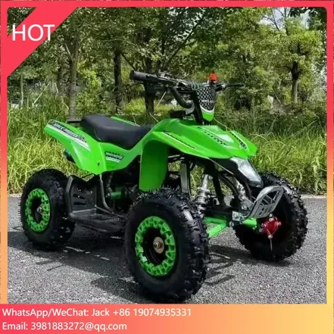 Высокая видимость 150cc 2-тактный двигатель новый тип популярный дешевый детский безмоторный снегоход снежный скутер снежный снегоход на продажу
Высокая видимость 150cc 2-тактный двигатель новый тип популярный дешевый детский безмоторный снегоход снежный скутер снежный снегоход на продажу