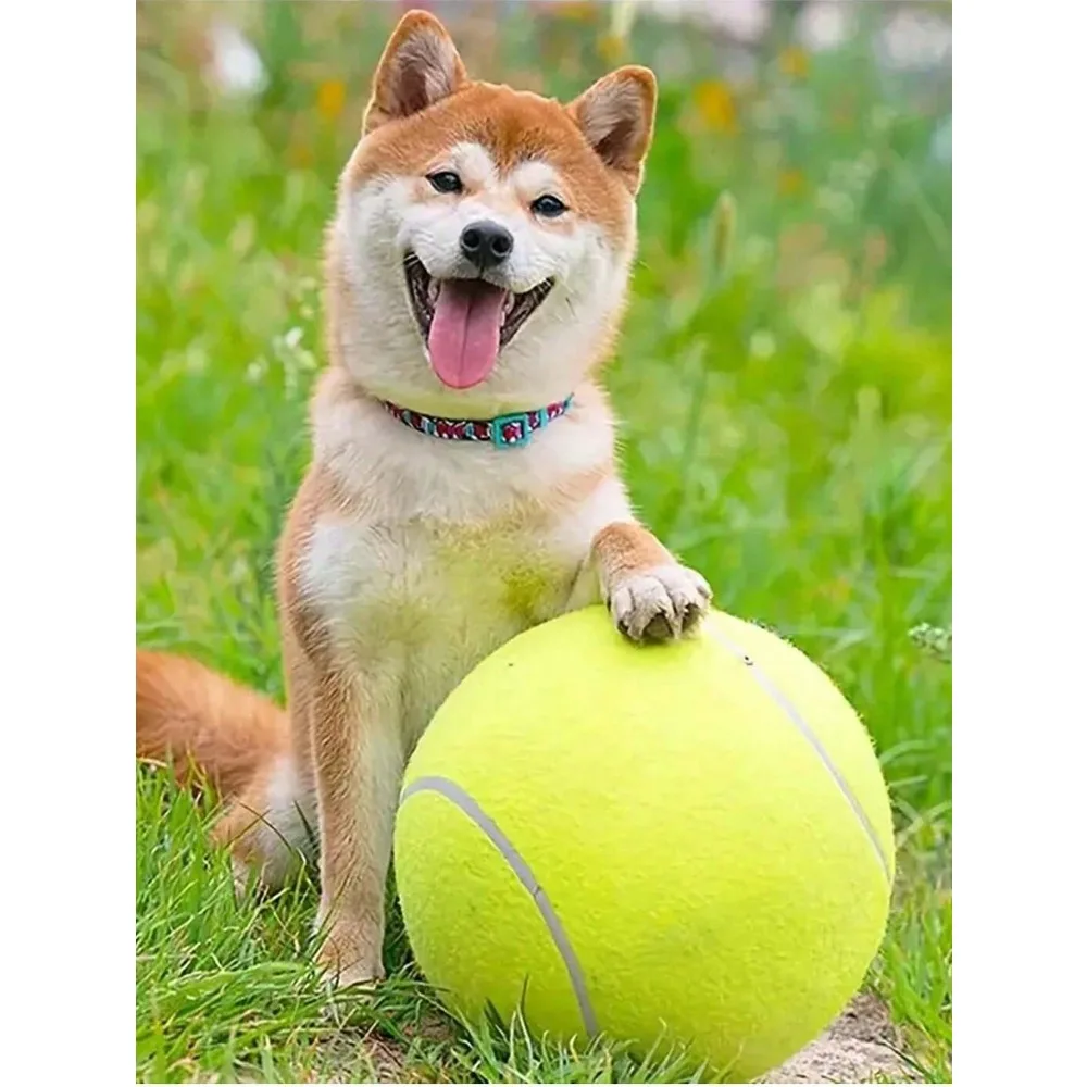 1pc Pet Tennis Ball, 24cm/9.5in Dog Tennis Ball Thrower For Training, Interactive Dog Toys
1pc Pet Tennis Ball, 24cm/9.5in Dog Tennis Ball Thrower For Training, Interactive Dog Toys