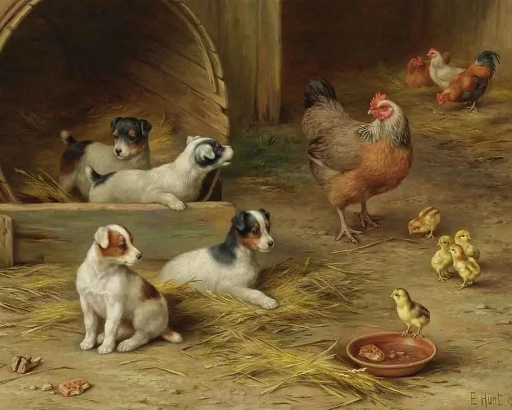 Fun Gift Vintage Painting puppies and chickens, Art Picture Print Silk Poster Living Room Decor ,Home Wall
Fun Gift Vintage Painting puppies and chickens, Art Picture Print Silk Poster Living Room Decor ,Home Wall