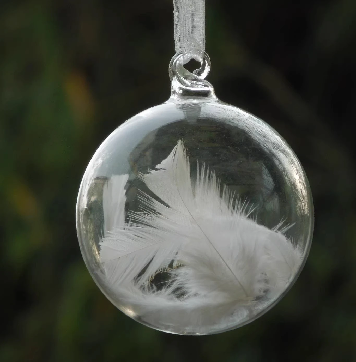 Герметичное стеклянное шаровое перо, украшение для елки
Герметичное стеклянное шаровое перо, украшение для елки