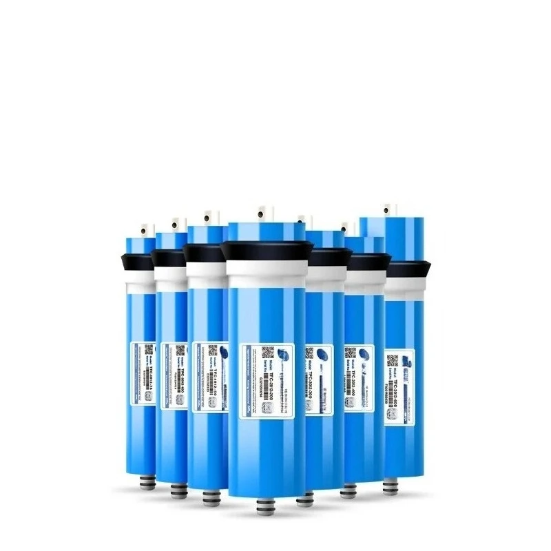 200/300/400/600 GPD RO Membrane TFC-3012/3013/2812 Reverse Osmosis Water Filter Cartridge
200/300/400/600 GPD RO Membrane TFC-3012/3013/2812 Reverse Osmosis Water Filter Cartridge