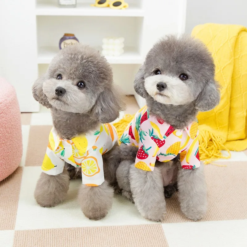 Teddy Fruit Shirt Pet Clothes Puppy Summer Cute Clothes Thin Open Button Shirt Yorkshire Two Legs Clothes
Teddy Fruit Shirt Pet Clothes Puppy Summer Cute Clothes Thin Open Button Shirt Yorkshire Two Legs Clothes