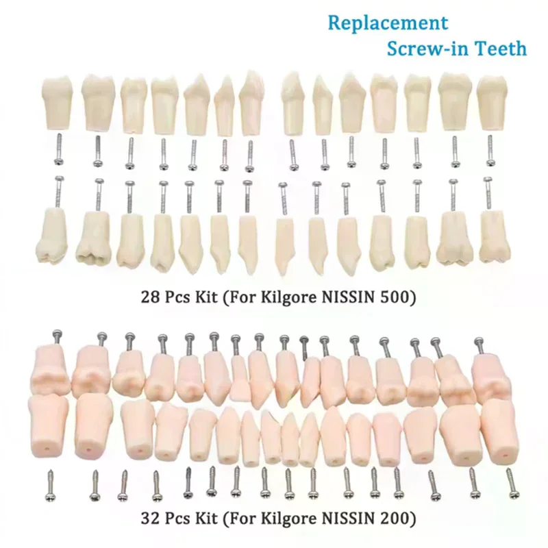 28/32 шт., модель зубов Typodont, съемная индивидуальная ввинчивающаяся смола, тренировочное пособие для практики протезов, сменный зуб
28/32 шт., модель зубов Typodont, съемная индивидуальная ввинчивающаяся смола, тренировочное пособие для практики протезов, сменный зуб