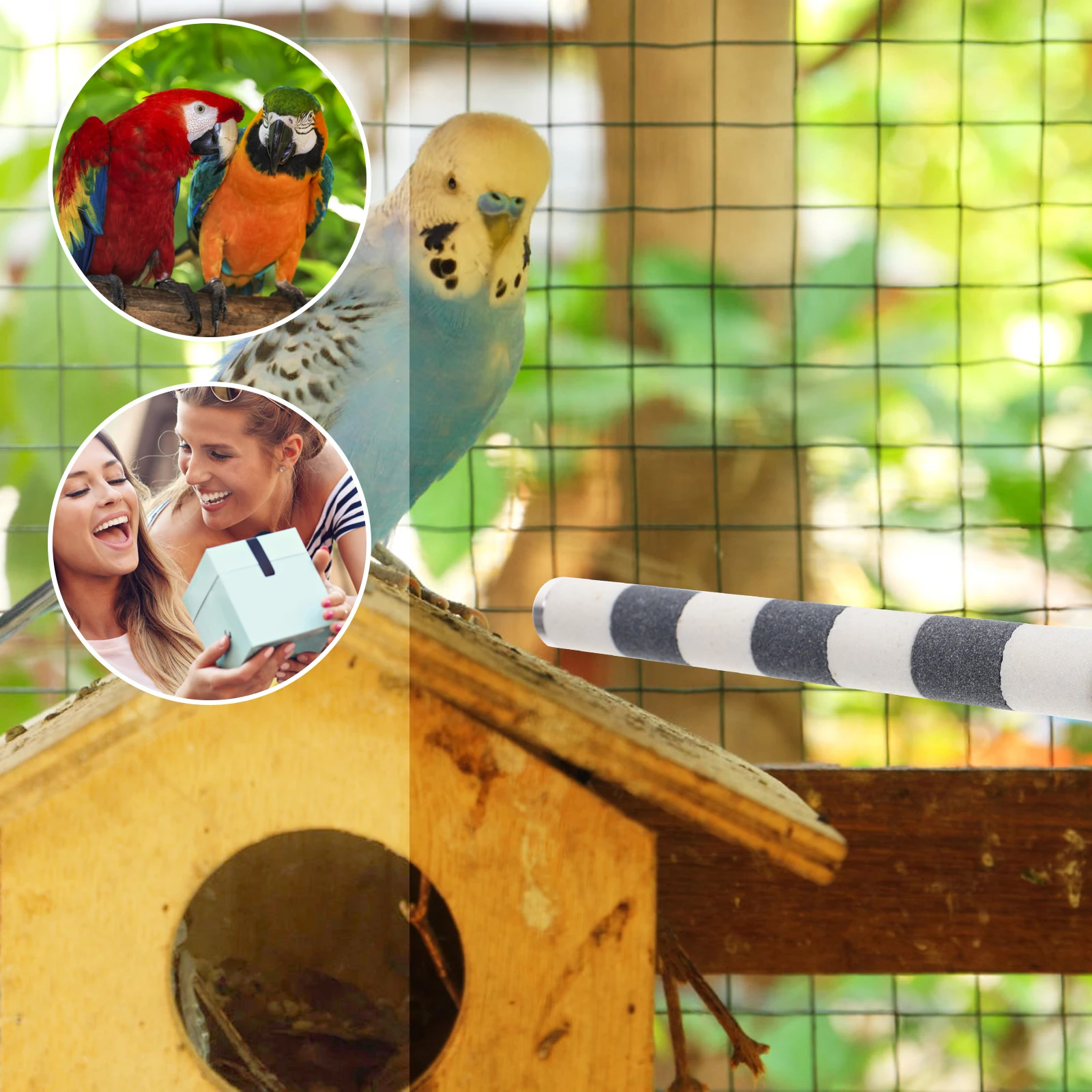 Grinding Stick Parrot Perch Cage Bird Perches Claw Parrot Standing Stick Wooden Durable Grit Sandpaper Resistant Toy Pet
Grinding Stick Parrot Perch Cage Bird Perches Claw Parrot Standing Stick Wooden Durable Grit Sandpaper Resistant Toy Pet