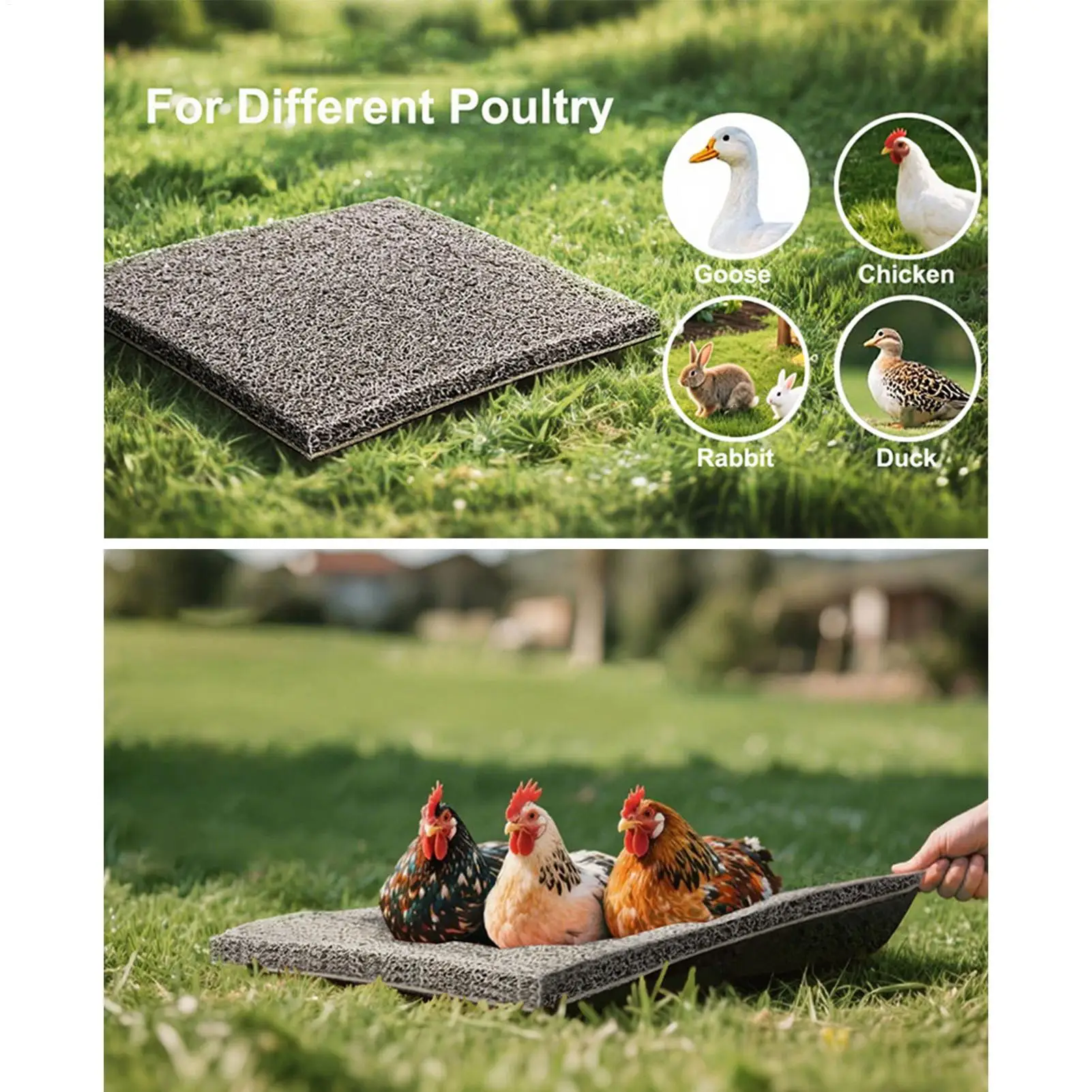 Chicken Coop Nesting Pads Hens Nesting Living Mat Reusable Hens Laying Bedding For Garden Lawn Farm Poultry Duck Quail Coop
Chicken Coop Nesting Pads Hens Nesting Living Mat Reusable Hens Laying Bedding For Garden Lawn Farm Poultry Duck Quail Coop