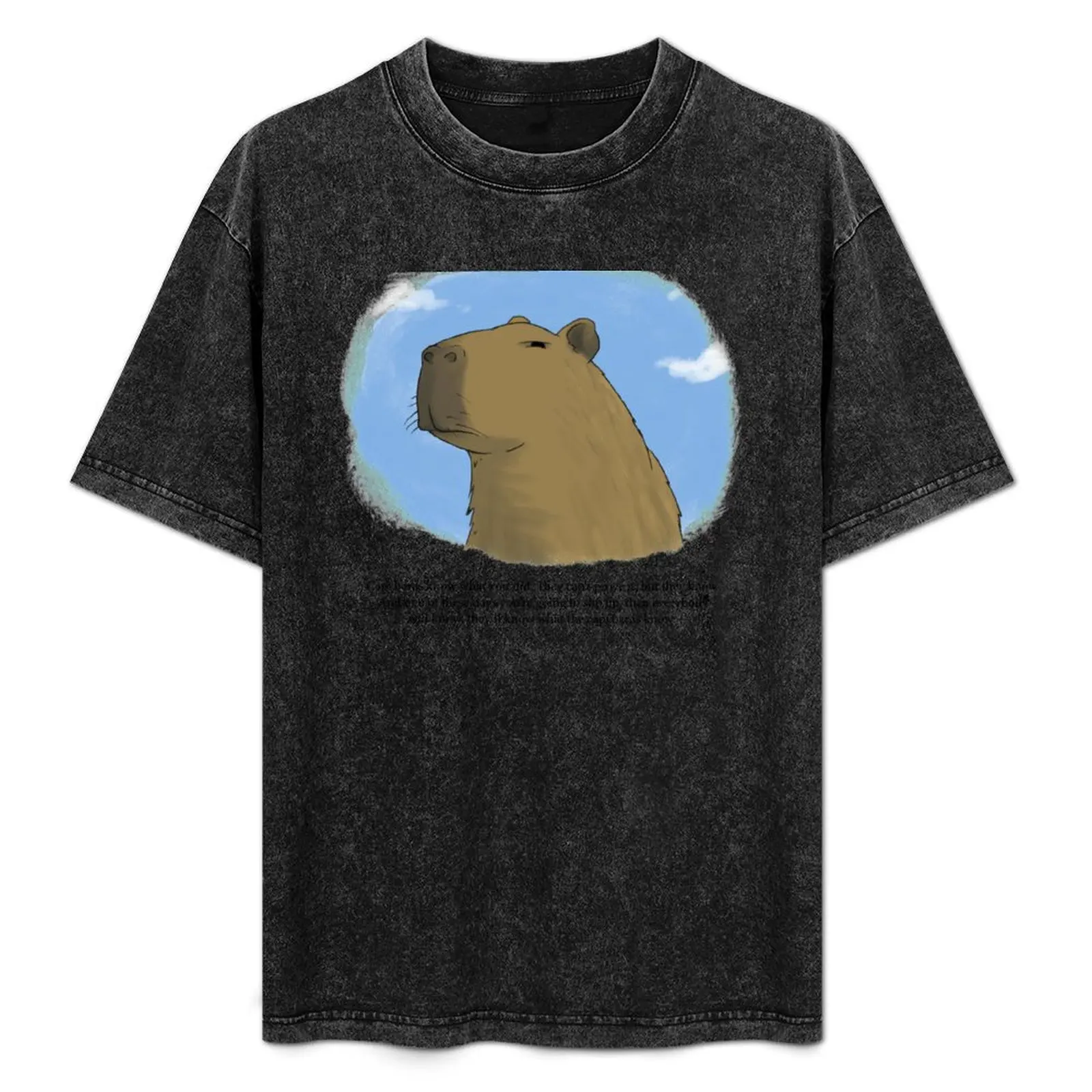 About Capybaras T-Shirt Sweat Resistant Workout Tee Shirt
About Capybaras T-Shirt Sweat Resistant Workout Tee Shirt