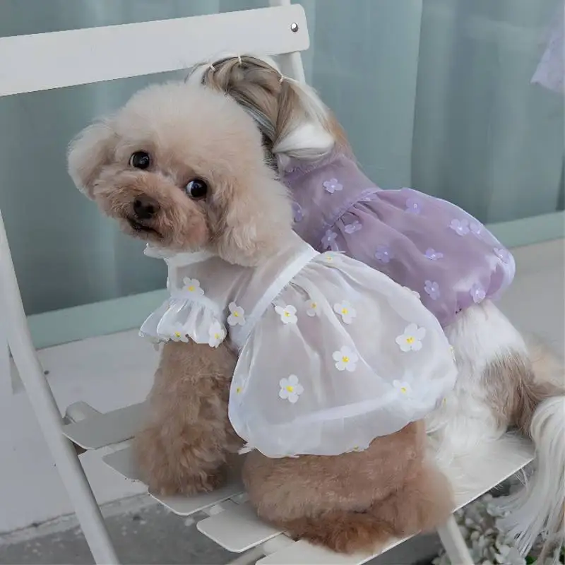 Three-Dimensional Flower Gauze Skirt for Pets, Spring and Summer Clothing, Skirt for Cat and Dog, Teddy Bear Coat, Streamer, New
Three-Dimensional Flower Gauze Skirt for Pets, Spring and Summer Clothing, Skirt for Cat and Dog, Teddy Bear Coat, Streamer, New
