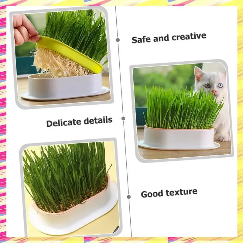 ABJJ 3Pcs Home Planting Box Kit, Sprouts Soil-Free Pets Convenient Nursery Grower Soil Propagation
ABJJ 3Pcs Home Planting Box Kit, Sprouts Soil-Free Pets Convenient Nursery Grower Soil Propagation