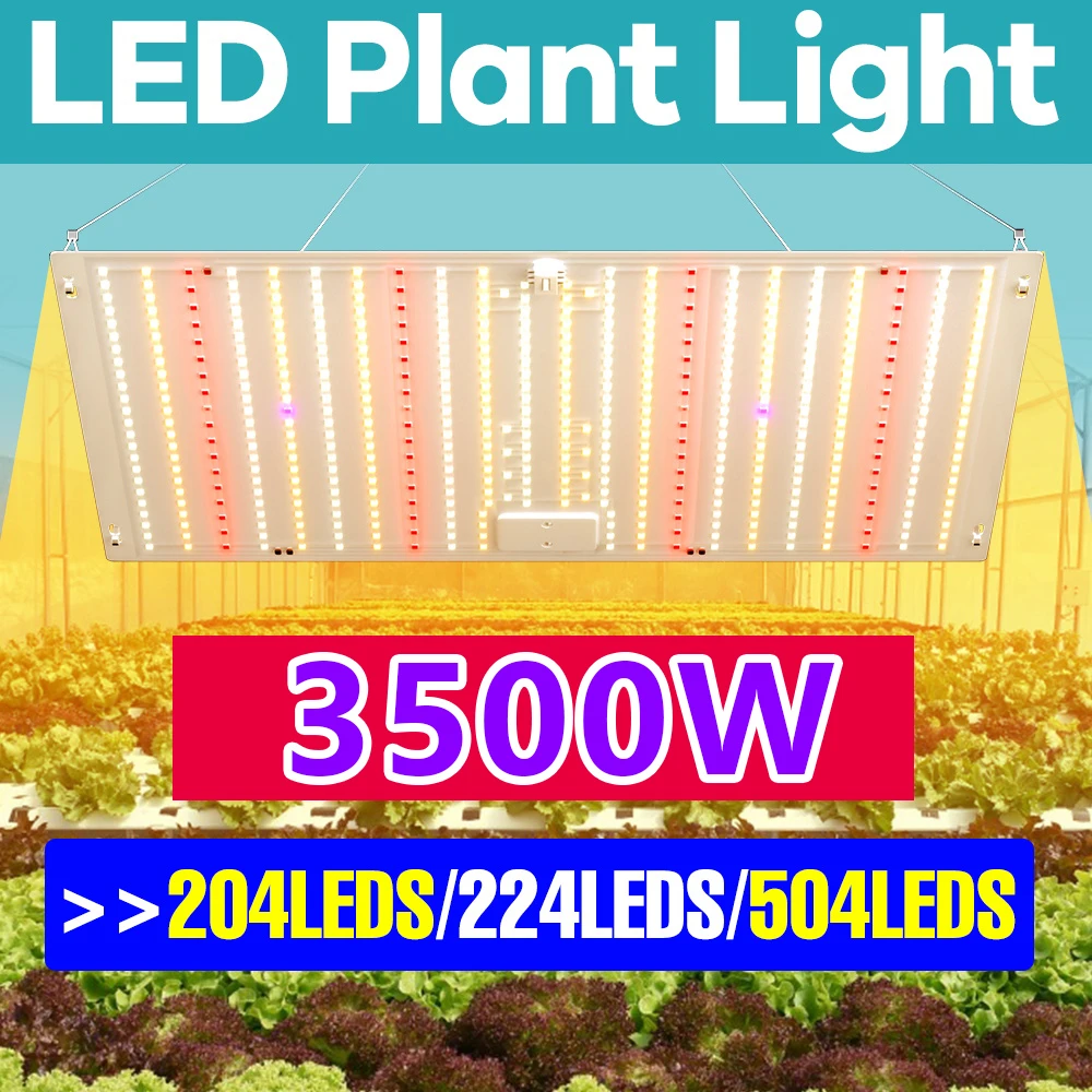 Светодиодная лампа для растений 3500 Вт, фитолампа, полноспектральная, квантовая панель, для гидропоники, теплиц, цветов, семян, лампа для роста растений
Светодиодная лампа для растений 3500 Вт, фитолампа, полноспектральная, квантовая панель, для гидропоники, теплиц, цветов, семян, лампа для роста растений