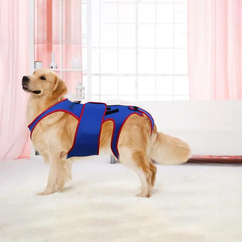 Dog Hip Support Brace Dogs Back Brace Helps Small Dogs D-ring And Reflective Strips Back Protector Support Helps Hurt Relief
Dog Hip Support Brace Dogs Back Brace Helps Small Dogs D-ring And Reflective Strips Back Protector Support Helps Hurt Relief