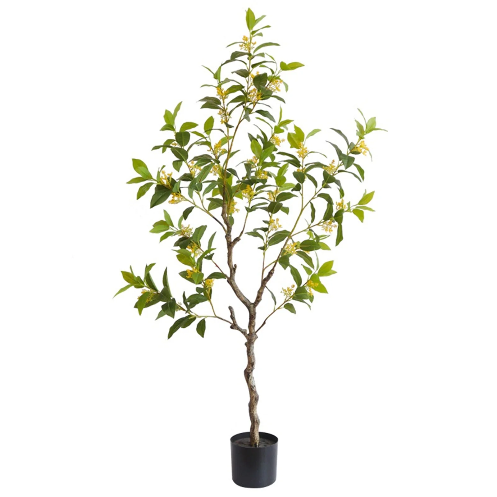 Artificial Osmanthus Tree 4.6ft Tall Lifelike Faux Indoor Outdoor Plant with Green Silk Leaves Flowers for Office Home Decor
Artificial Osmanthus Tree 4.6ft Tall Lifelike Faux Indoor Outdoor Plant with Green Silk Leaves Flowers for Office Home Decor